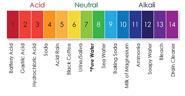 Mức độ pH