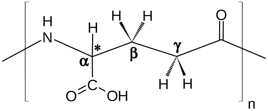 Phân tử Acid Polyglutanic
